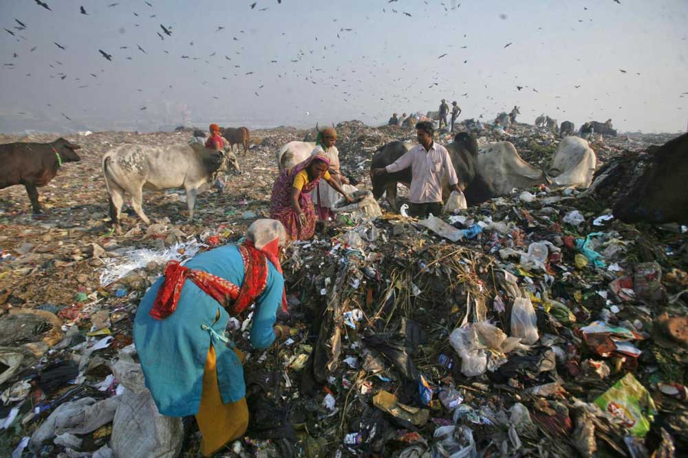 Delhiwaste