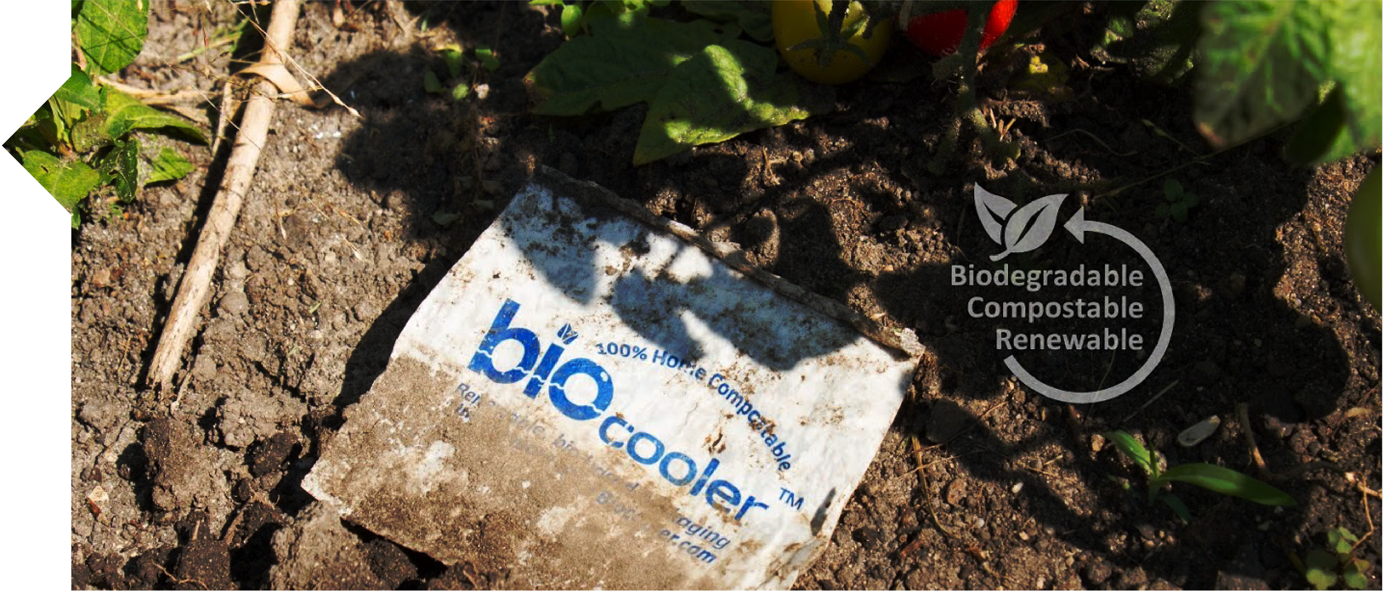 Compostable packaging biocooler biodegradable biobased